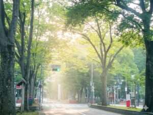 府中のケヤキ並木　府中市の不動産売却、不動産購入大成功！